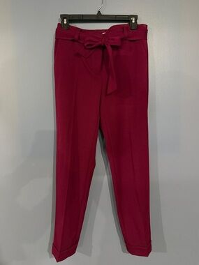 LOFT Raspberry Paperbag Tie-Waist Cropped Pants